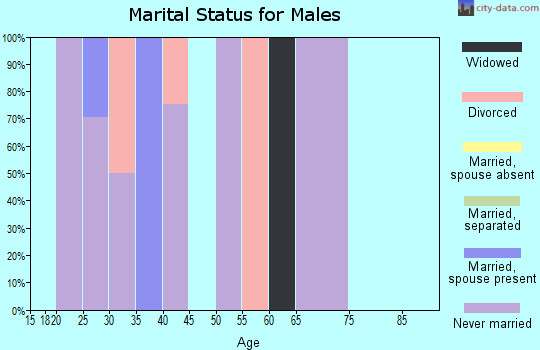 Zip code 55402 marital status for males