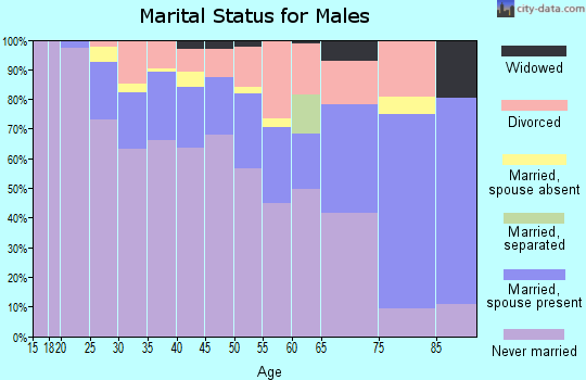 Zip code 55403 marital status for males