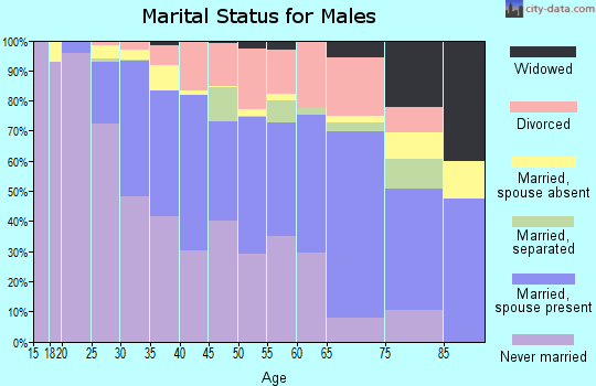 Zip code 55407 marital status for males
