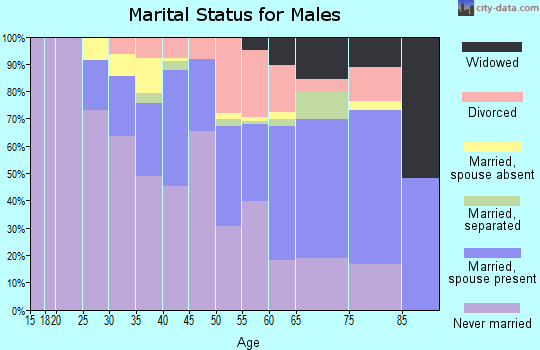 Zip code 55413 marital status for males