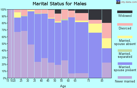 Zip code 55419 marital status for males