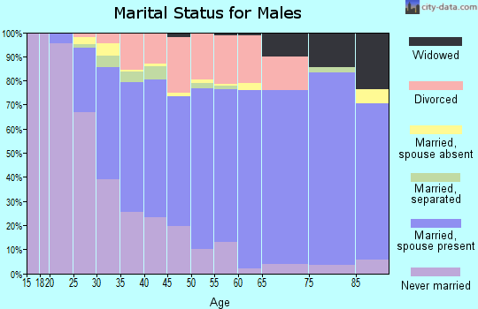 Zip code 55433 marital status for males