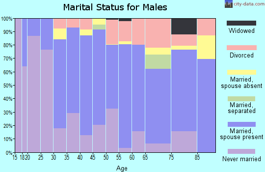 Zip code 55435 marital status for males