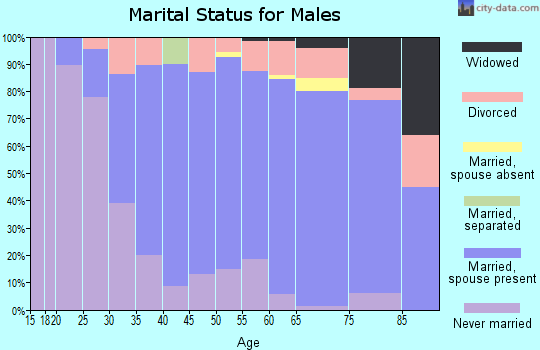 Zip code 55436 marital status for males