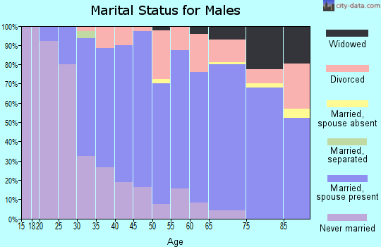 Zip code 55437 marital status for males