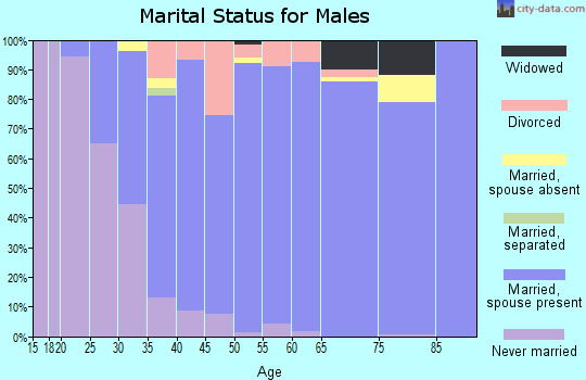 Zip code 55442 marital status for males