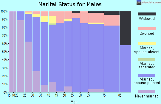 Zip code 55446 marital status for males
