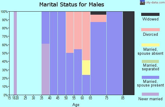 Zip code 55602 marital status for males