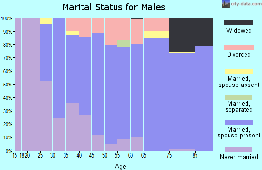Zip code 55604 marital status for males