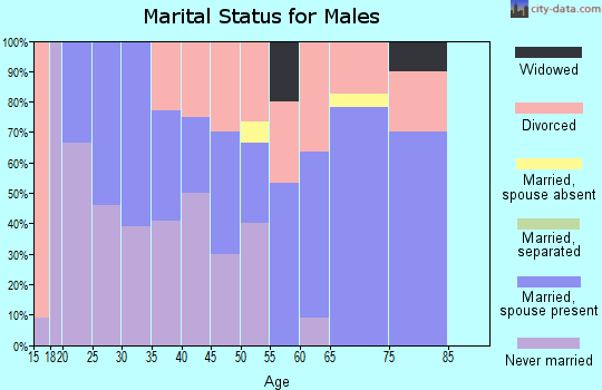 Zip code 55605 marital status for males