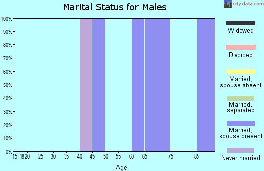 Zip code 55606 marital status for males