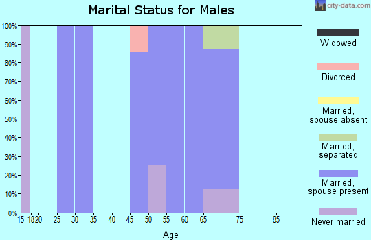 Zip code 55607 marital status for males