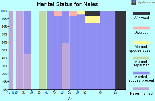Zip code 55612 marital status for males