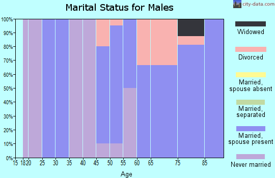Zip code 55615 marital status for males