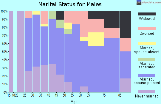 Zip code 55704 marital status for males