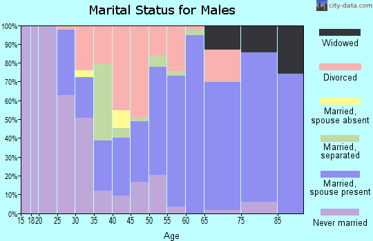 Zip code 55705 marital status for males