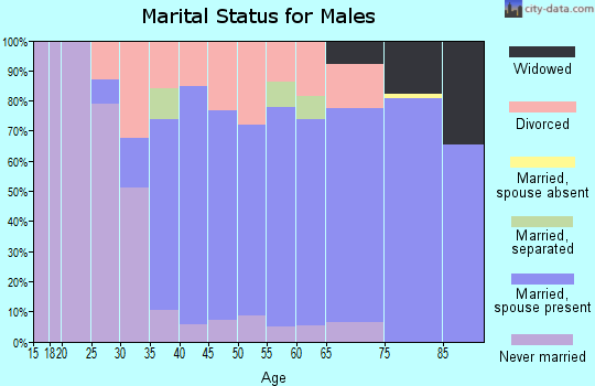 Zip code 55706 marital status for males