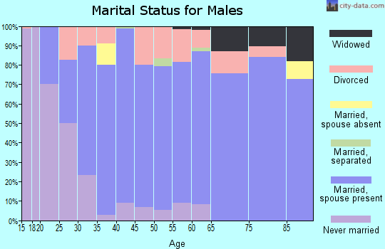 Zip code 55707 marital status for males