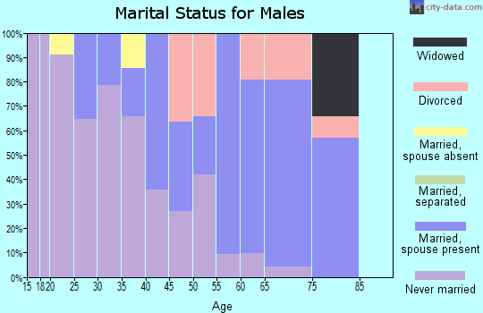 Zip code 55708 marital status for males
