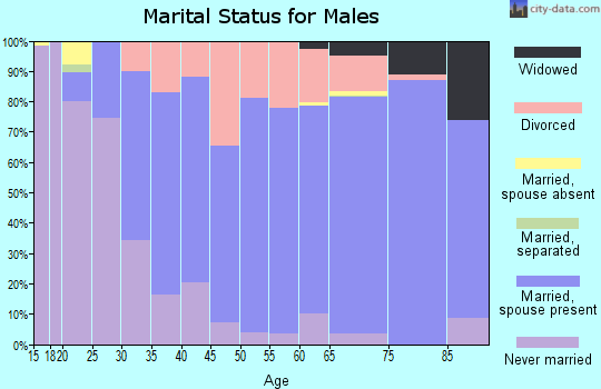 Zip code 55709 marital status for males