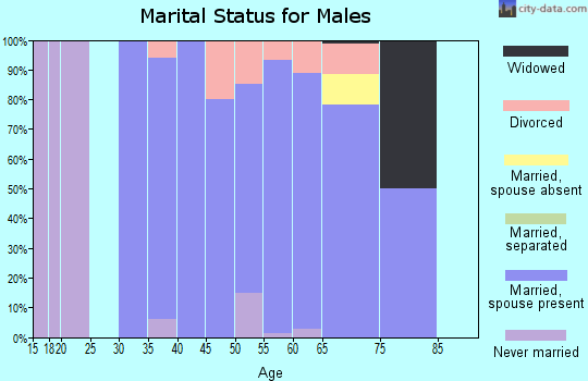 Zip code 55710 marital status for males