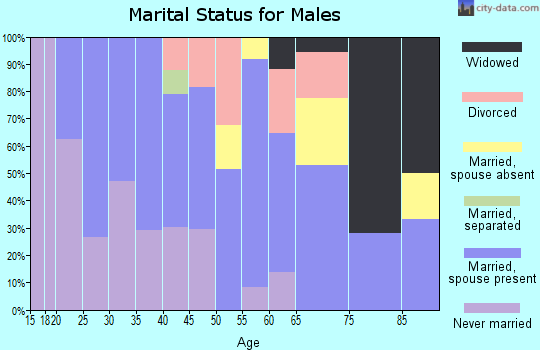 Zip code 55713 marital status for males