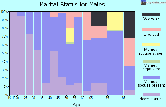 Zip code 55719 marital status for males