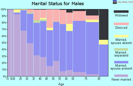Zip code 55720 marital status for males