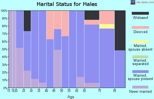 Zip code 55722 marital status for males