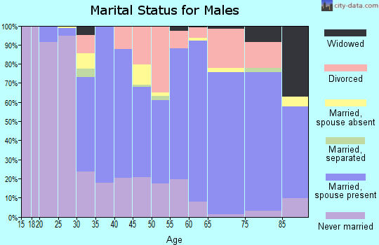 Zip code 55731 marital status for males