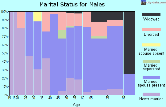 Zip code 55732 marital status for males