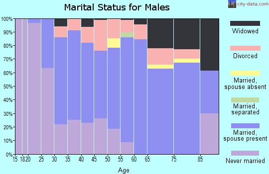 Zip code 55734 marital status for males