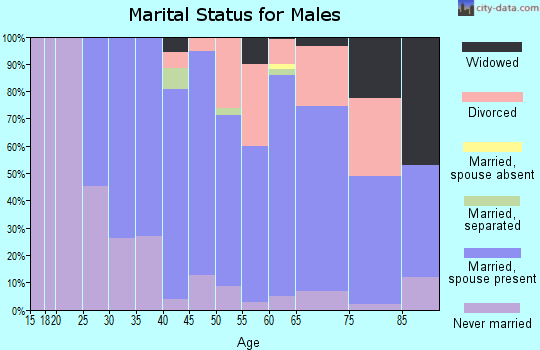 Zip code 55735 marital status for males