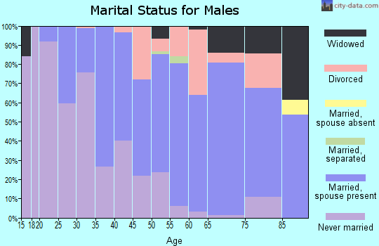 Zip code 55741 marital status for males
