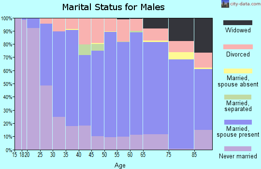 Zip code 55744 marital status for males