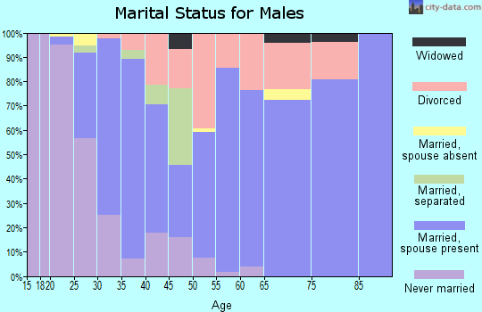 Zip code 55748 marital status for males