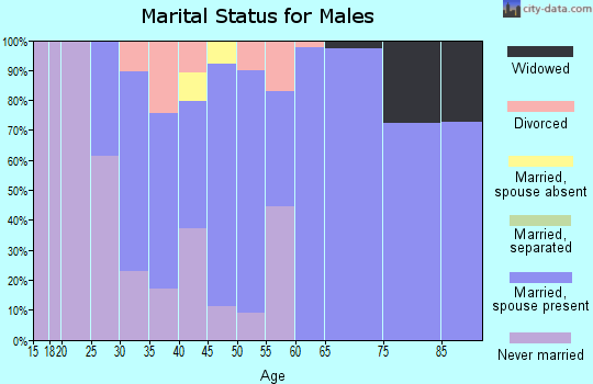 Zip code 55750 marital status for males