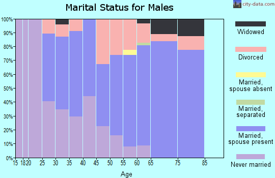 Zip code 55751 marital status for males