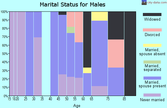 Zip code 55752 marital status for males