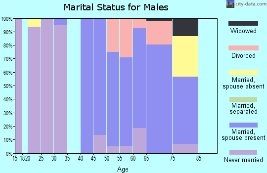 Zip code 55763 marital status for males