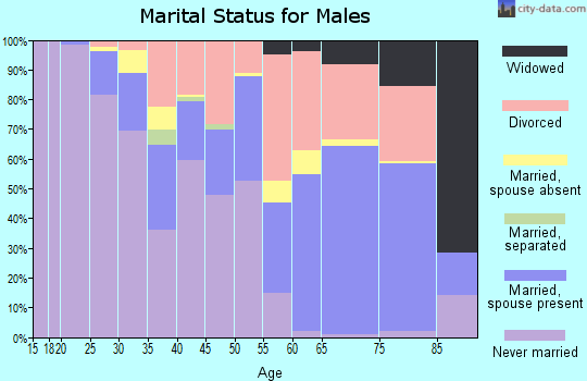 Zip code 55767 marital status for males