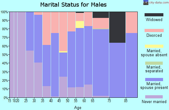 Zip code 55768 marital status for males