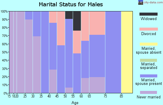 Zip code 55782 marital status for males