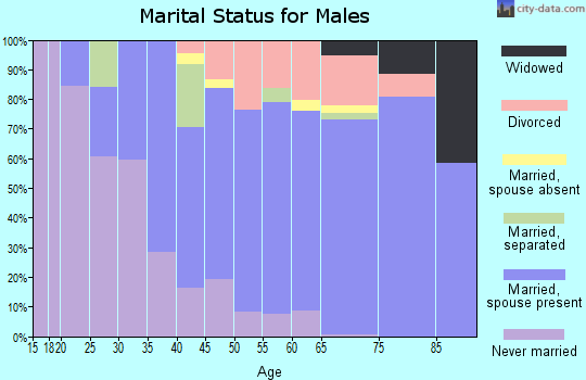Zip code 55783 marital status for males