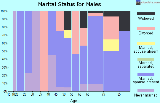 Zip code 55787 marital status for males