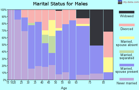 Zip code 55795 marital status for males