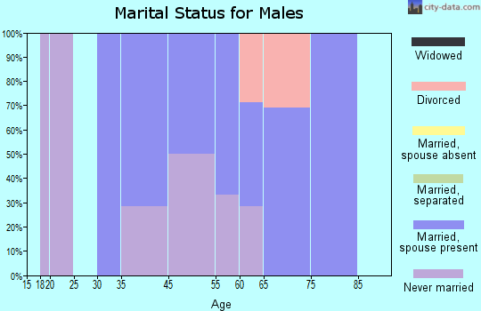 Zip code 55796 marital status for males