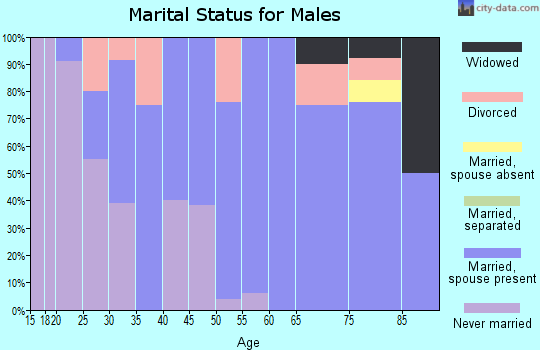 Zip code 55798 marital status for males