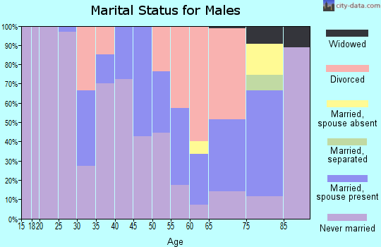 Zip code 55802 marital status for males