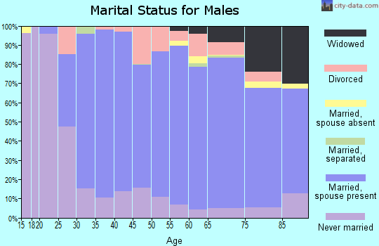 Zip code 55804 marital status for males